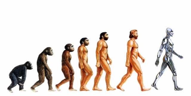 Human-Evolution1